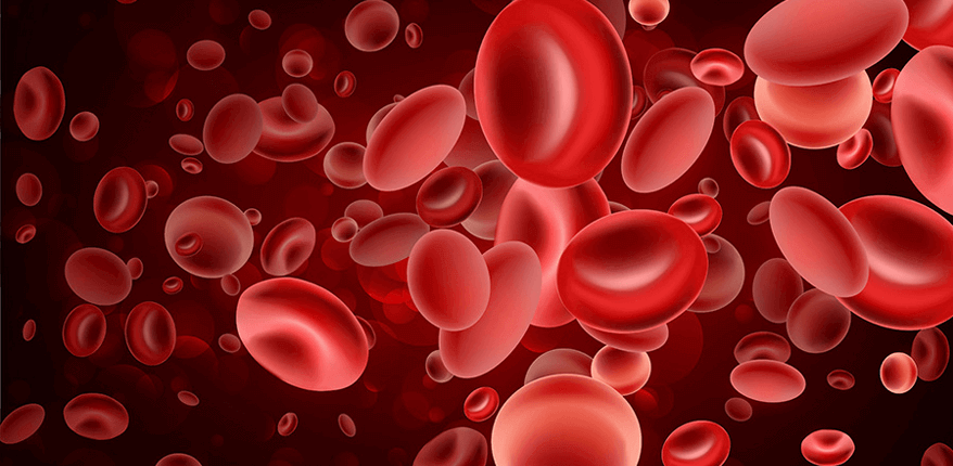 Hematoloji